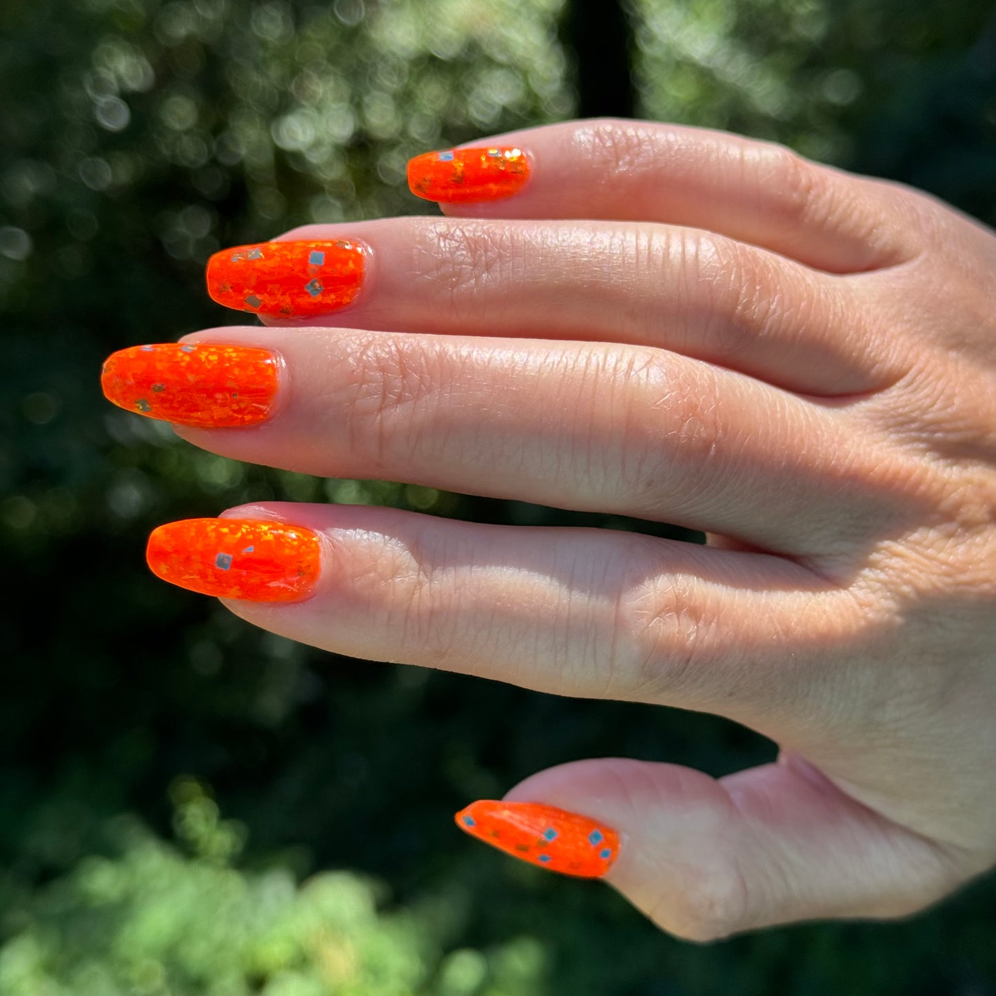 Cheeto Dorito (preorder)