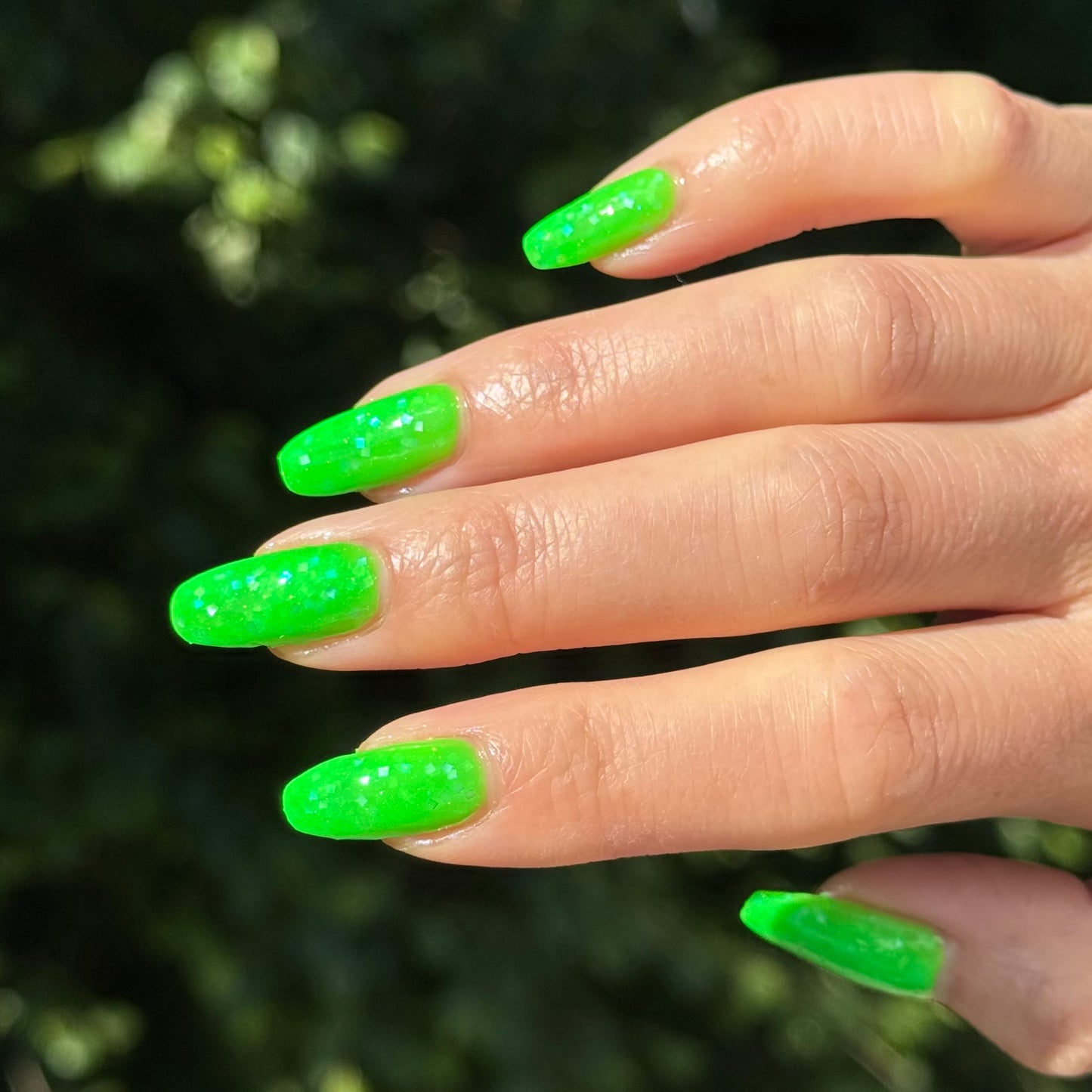 Leisure Lime