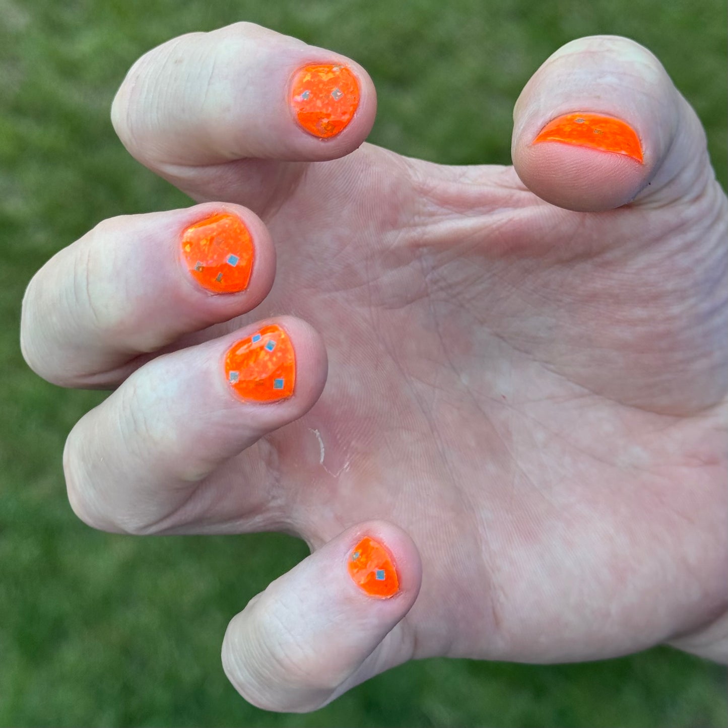 Cheeto Dorito (preorder)