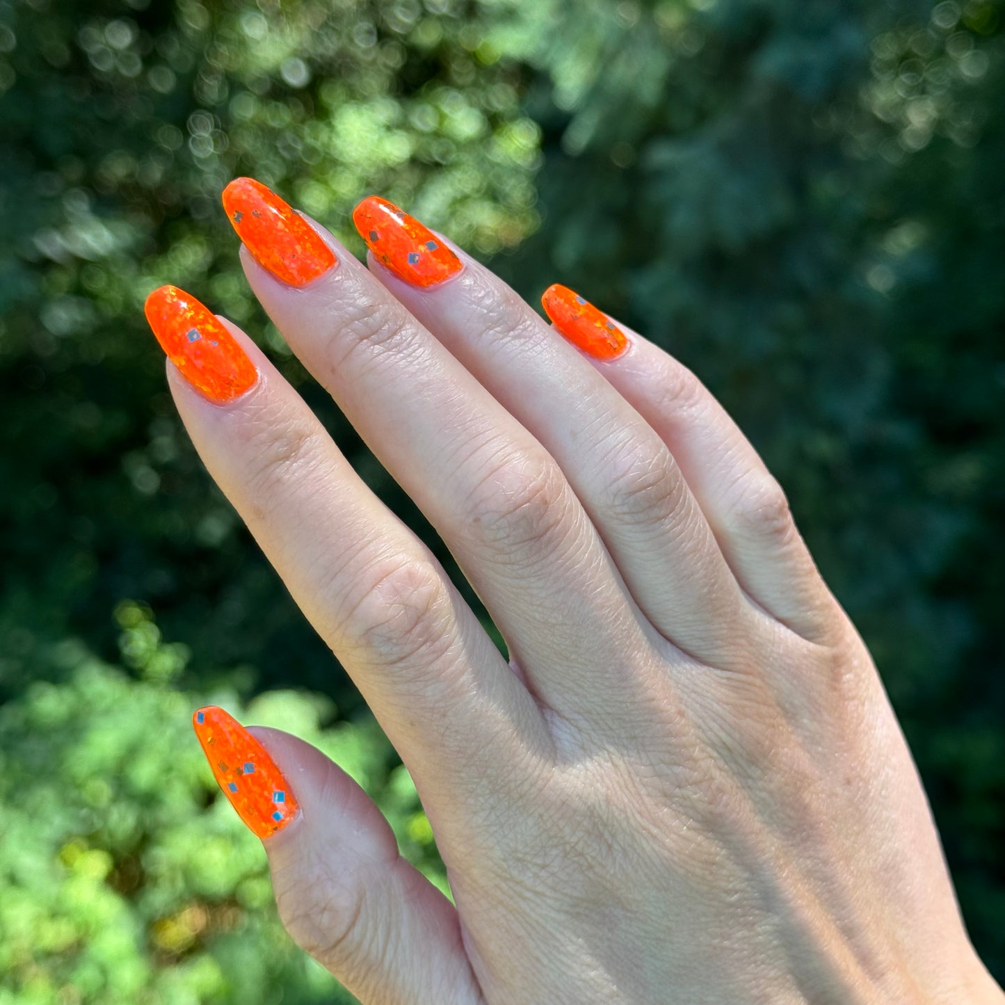 Cheeto Dorito (preorder)