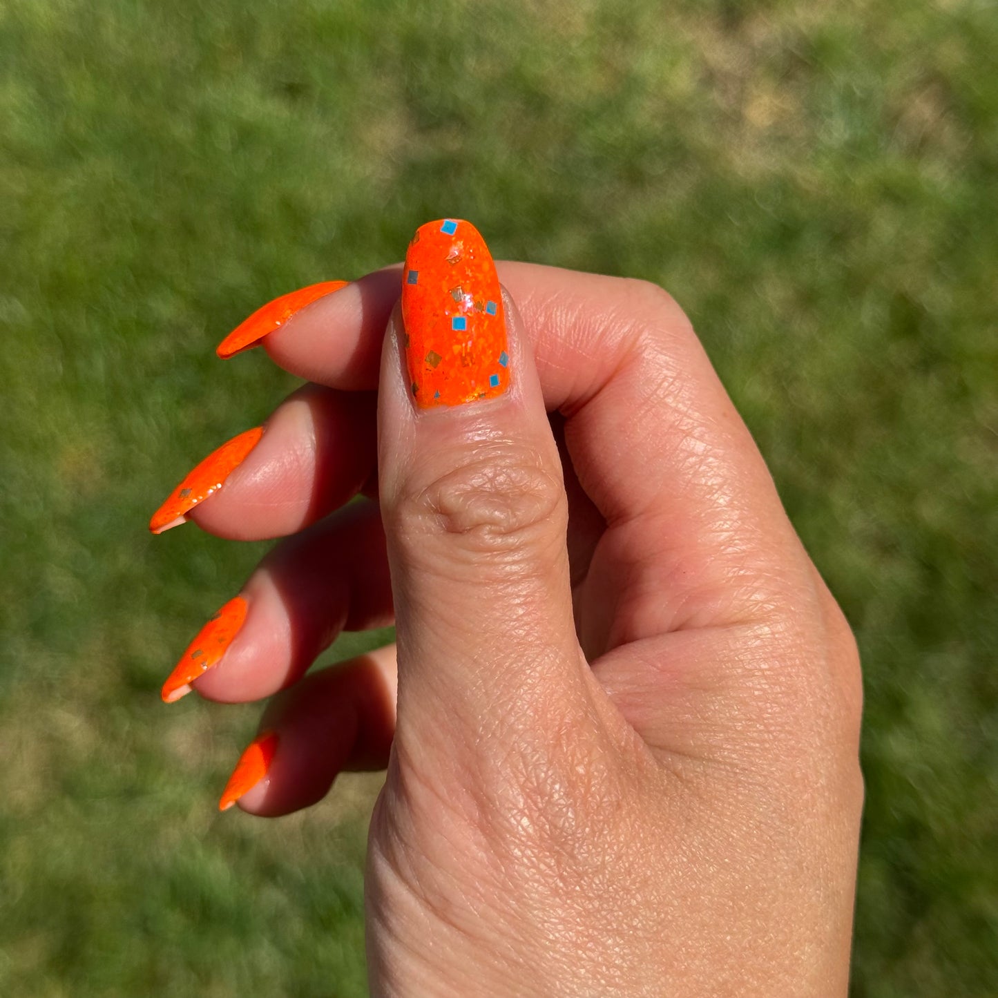Cheeto Dorito (preorder)