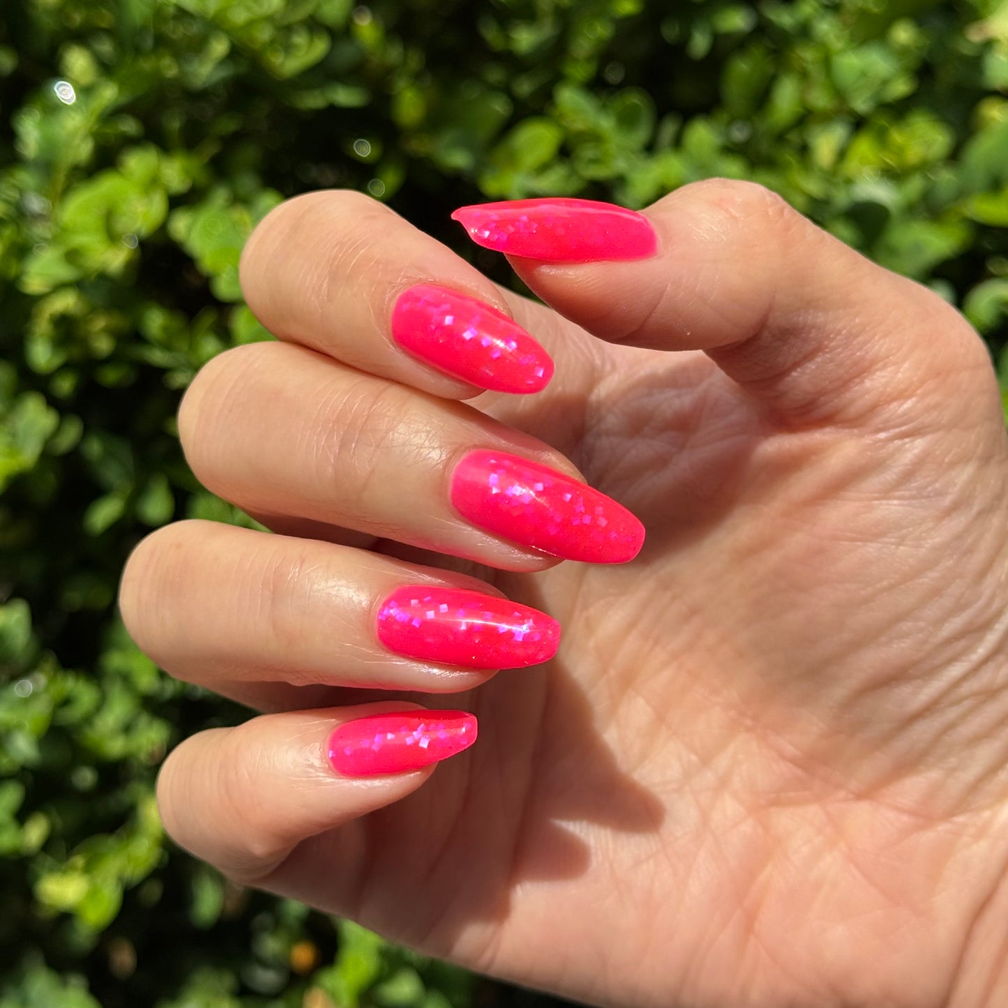 Dose of Dragonfruit