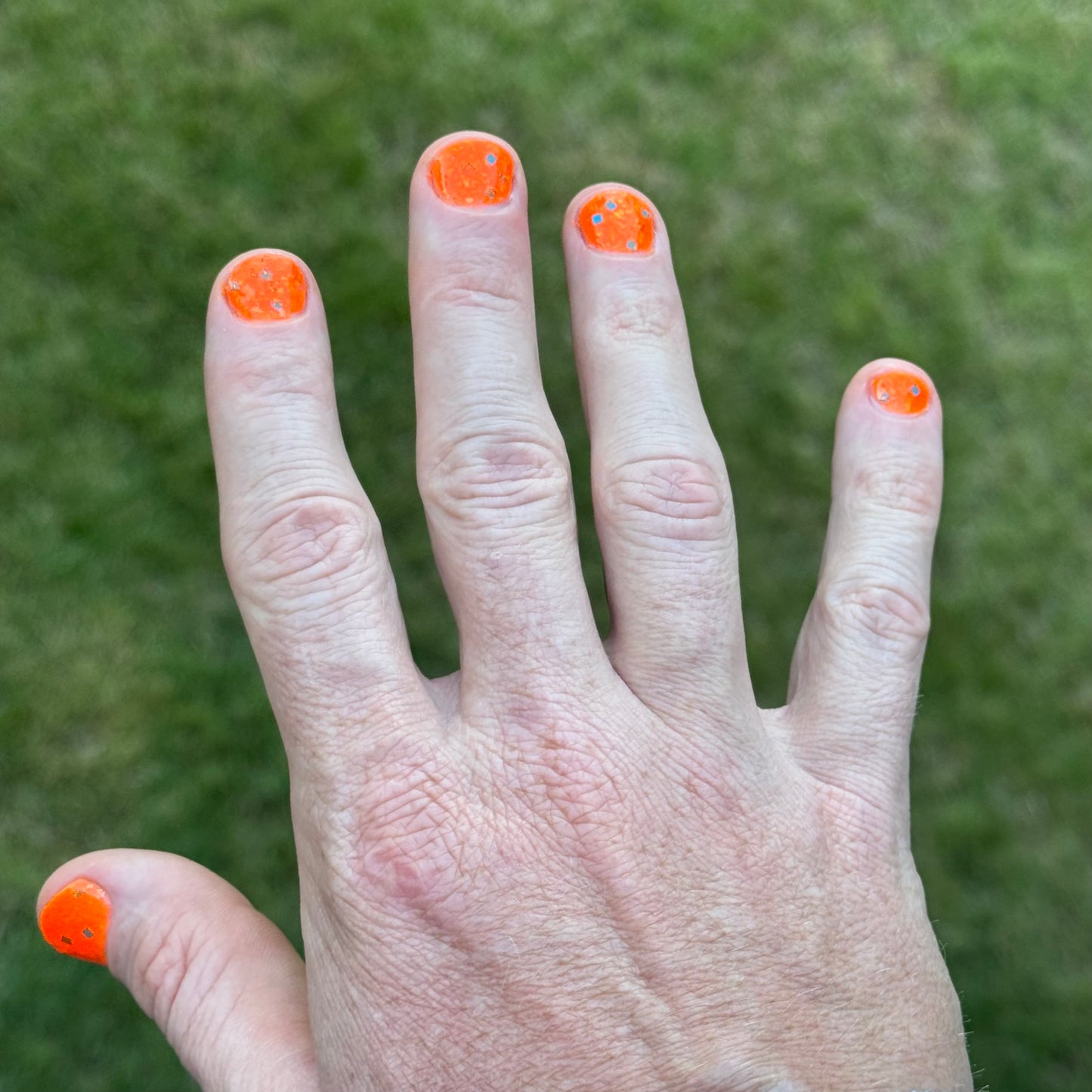 Cheeto Dorito (preorder)