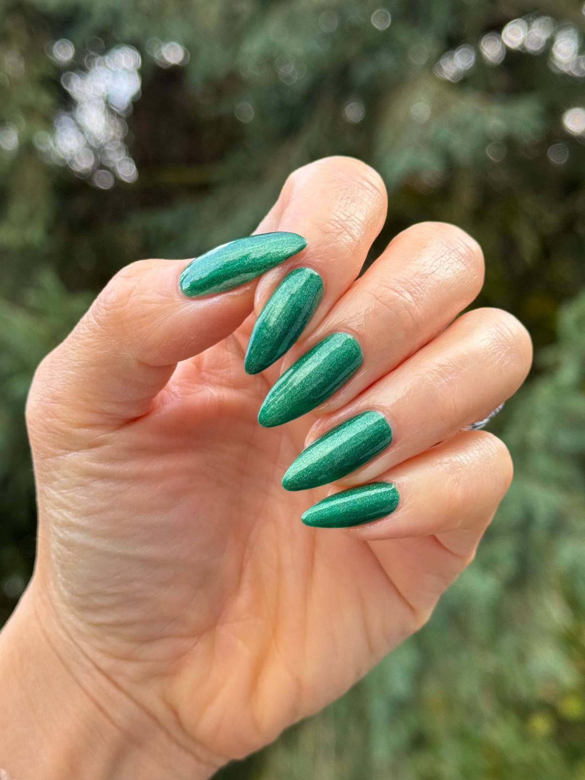 Evergreen State of Mind (7 ml)