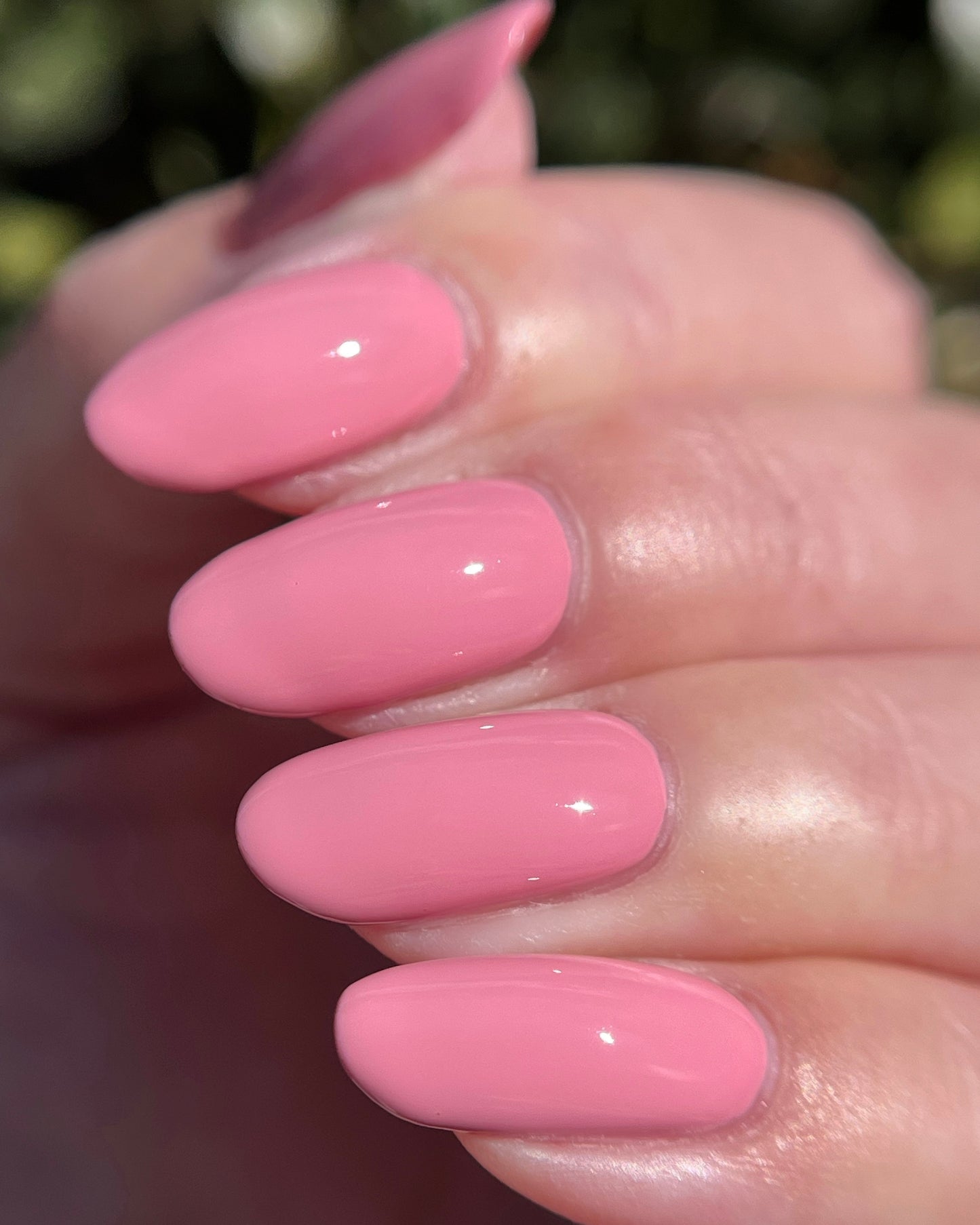 Love (February NOTM) (14 ml)