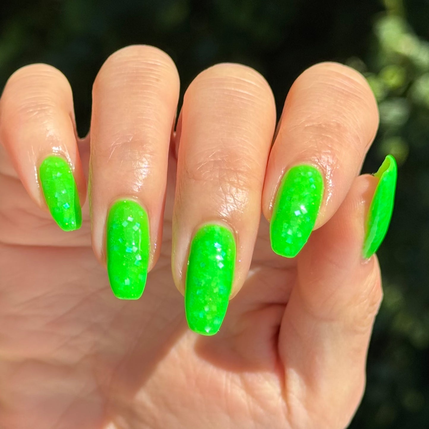 Leisure Lime