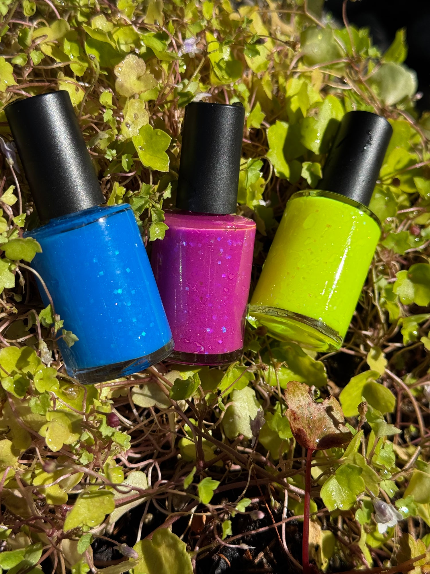 Bubbly Bevvies pt. 2