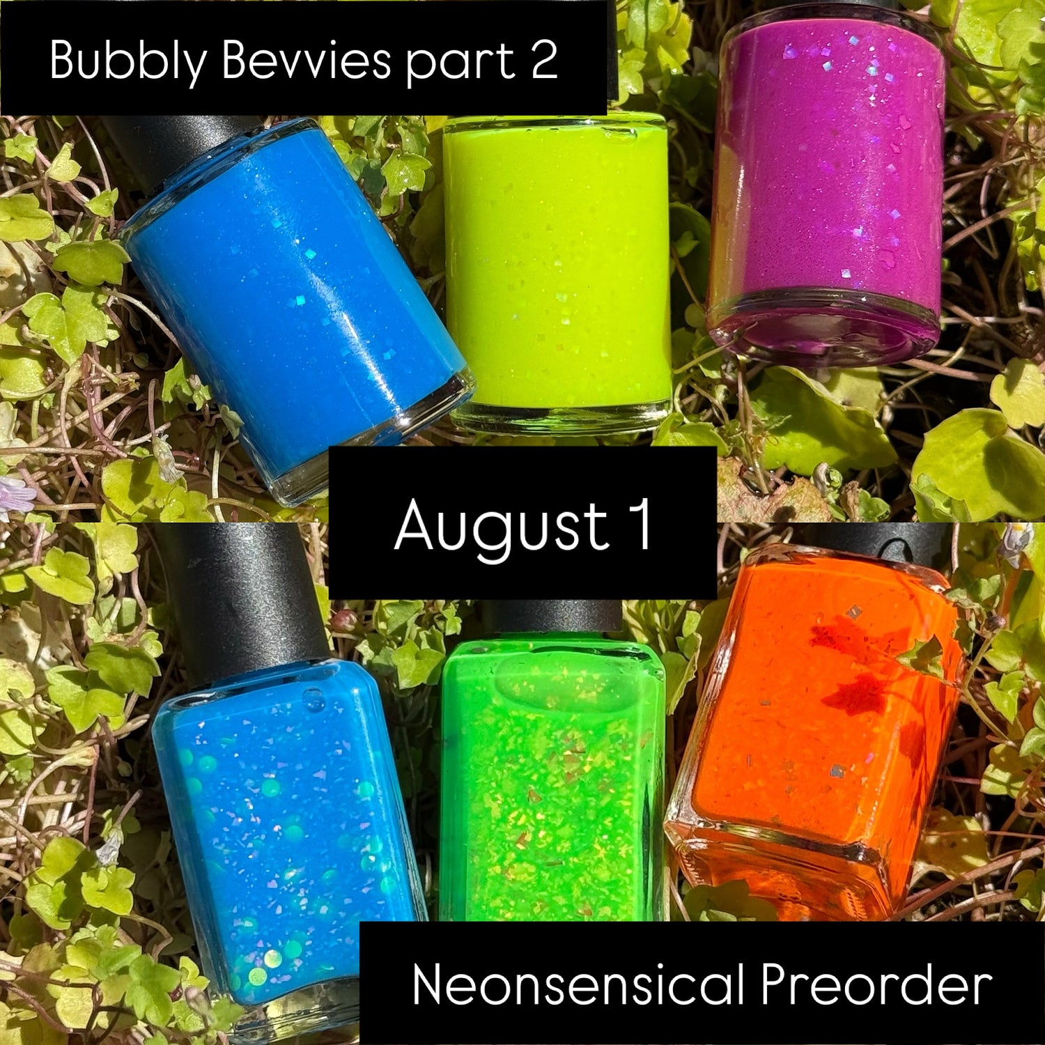 New Releases