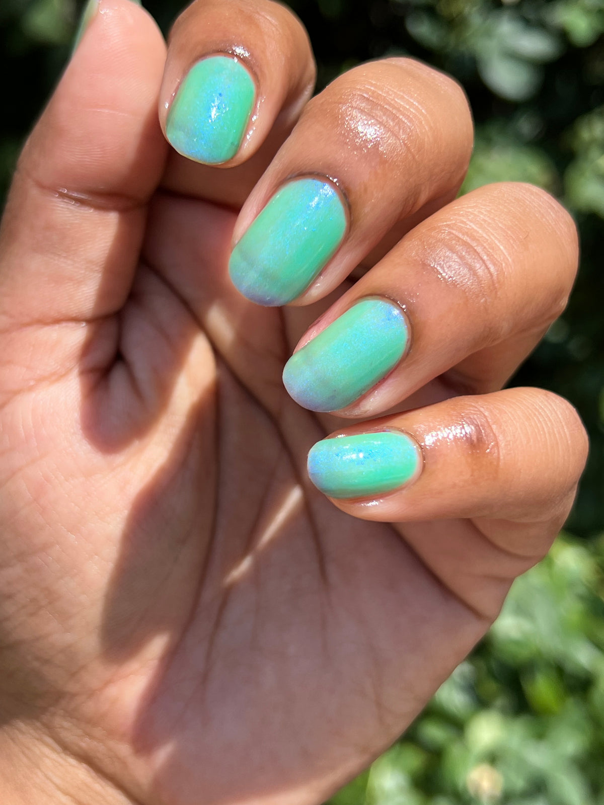 Lush Lupine (7 ml)