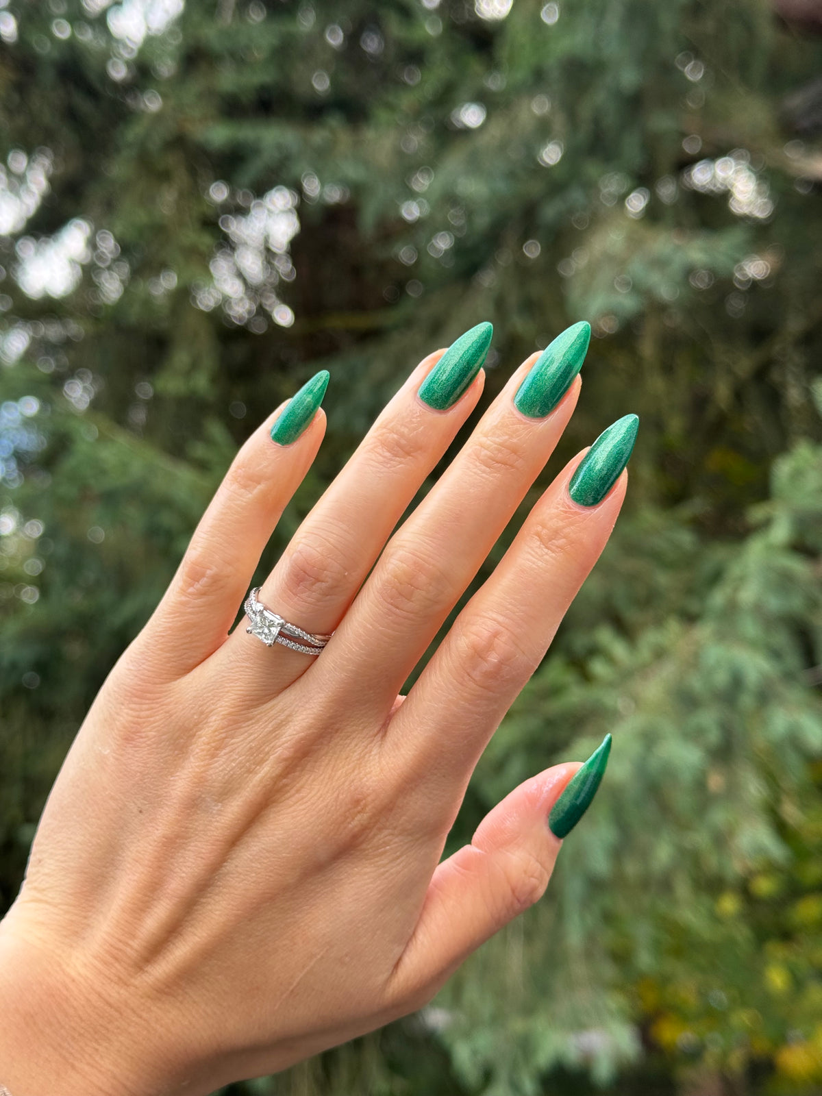 Evergreen State of Mind (7 ml)