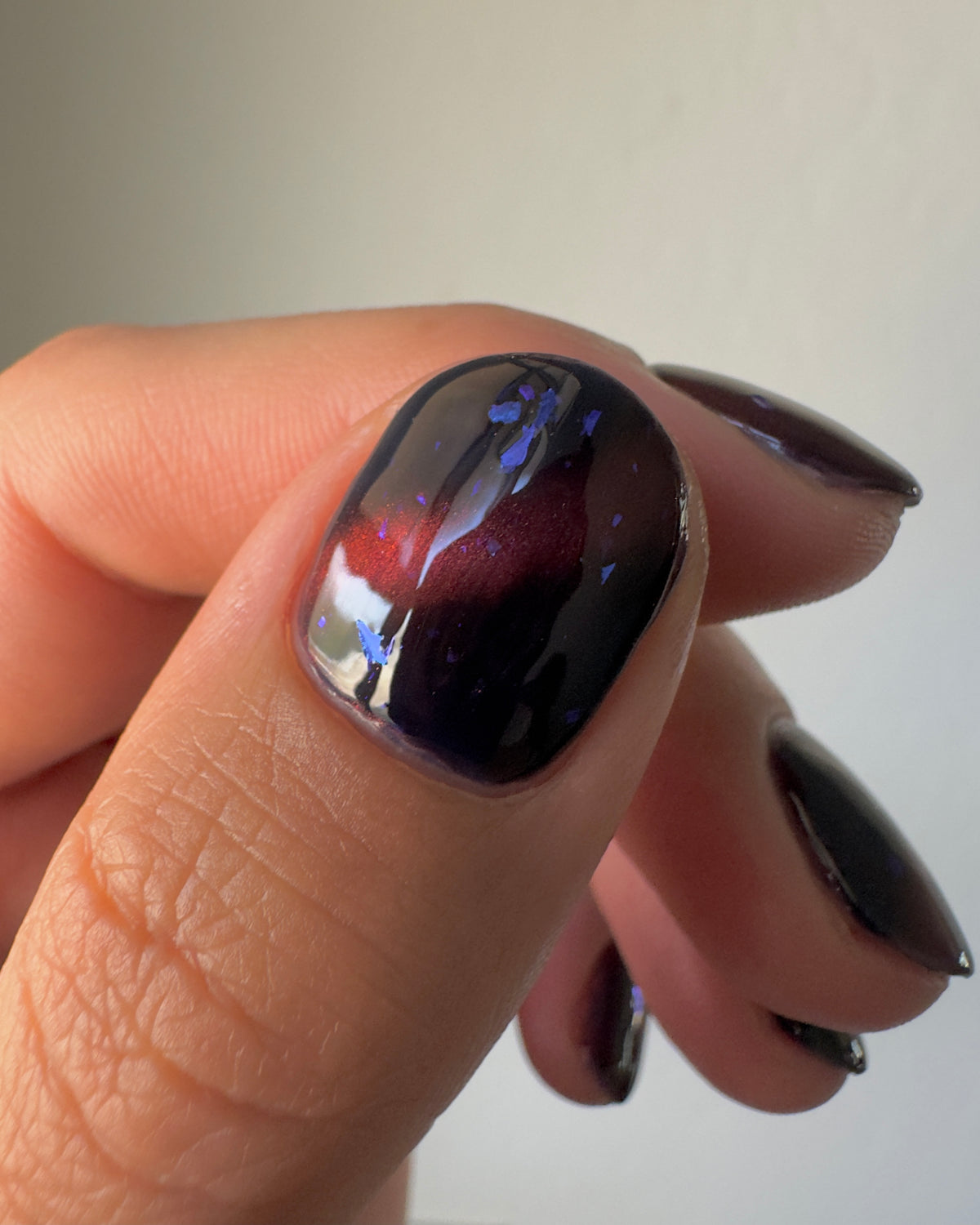 Welcome to my museum! (14 ml)