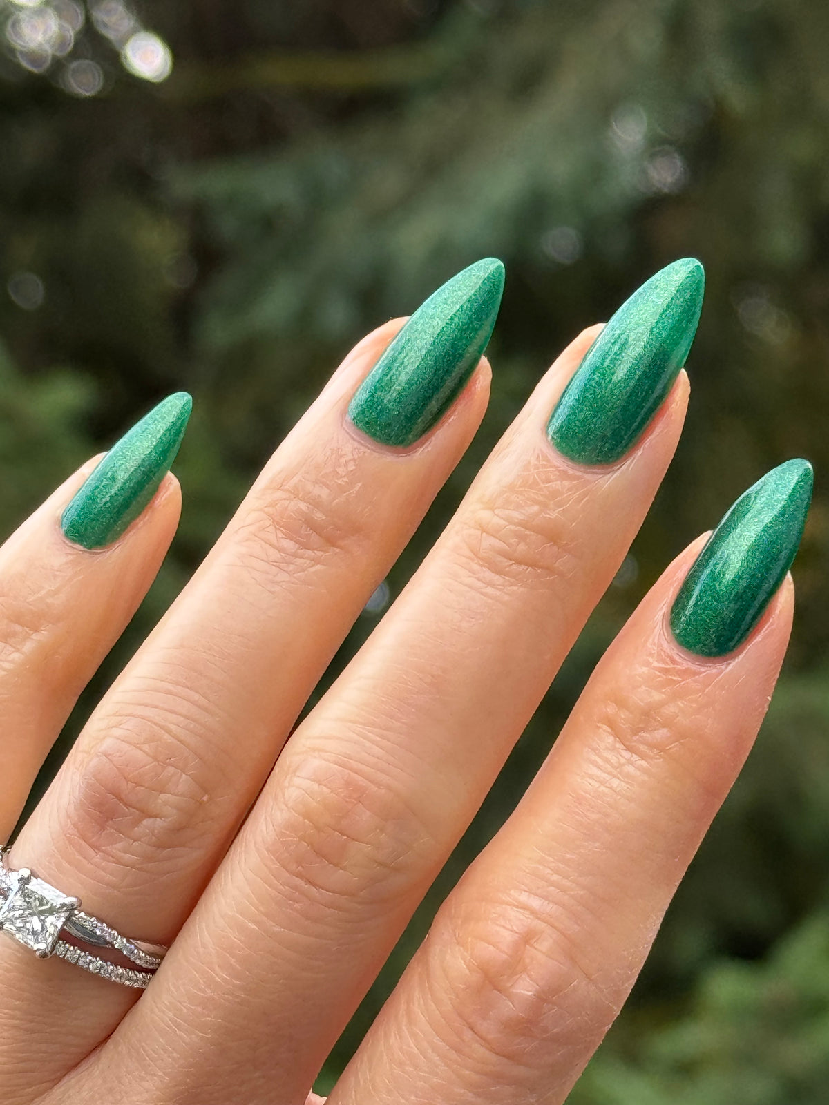 Evergreen State of Mind (7 ml)