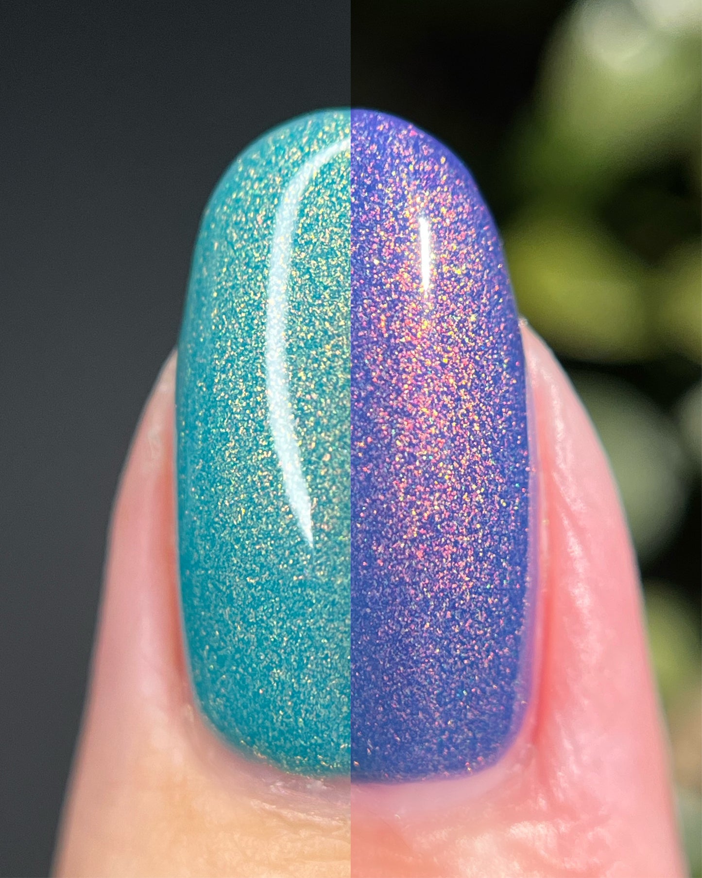 Rayleigh Scattering (Solar) (14 ml)