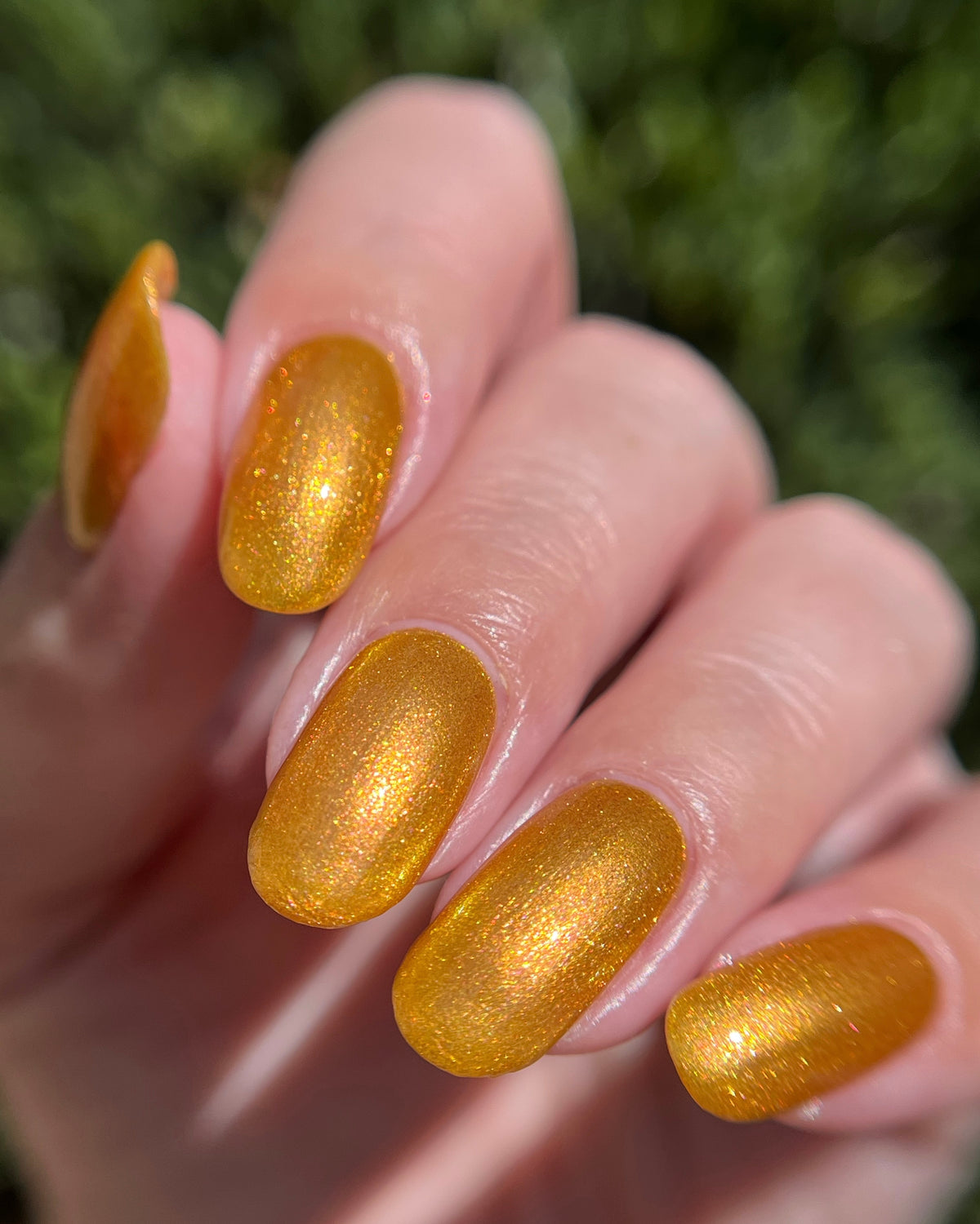 Sipping Cider (7 ml)