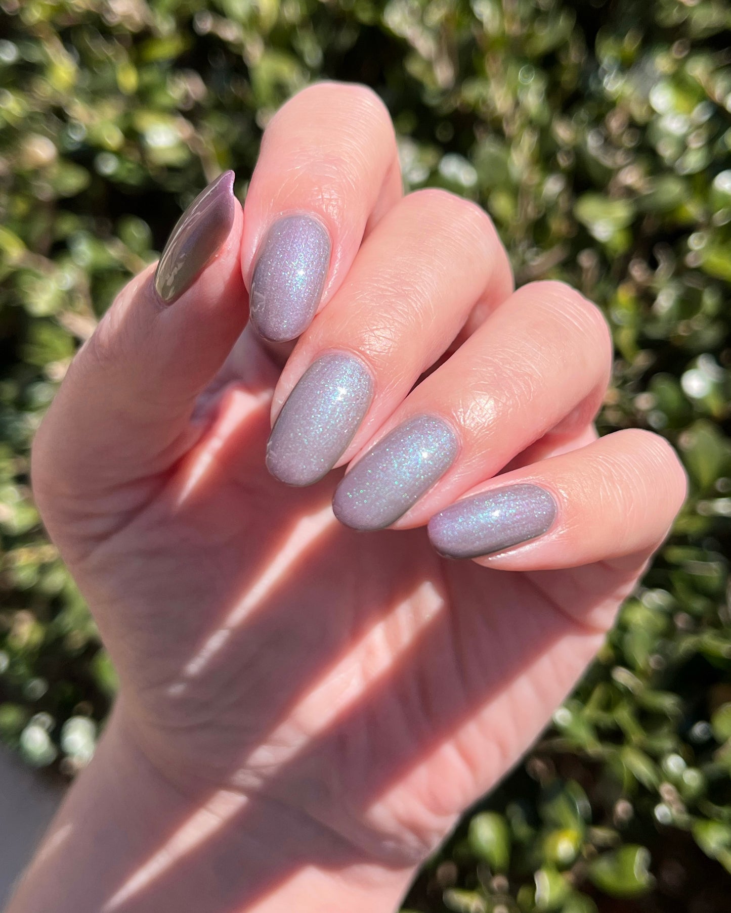 New Growth (Solar) (7 ml)