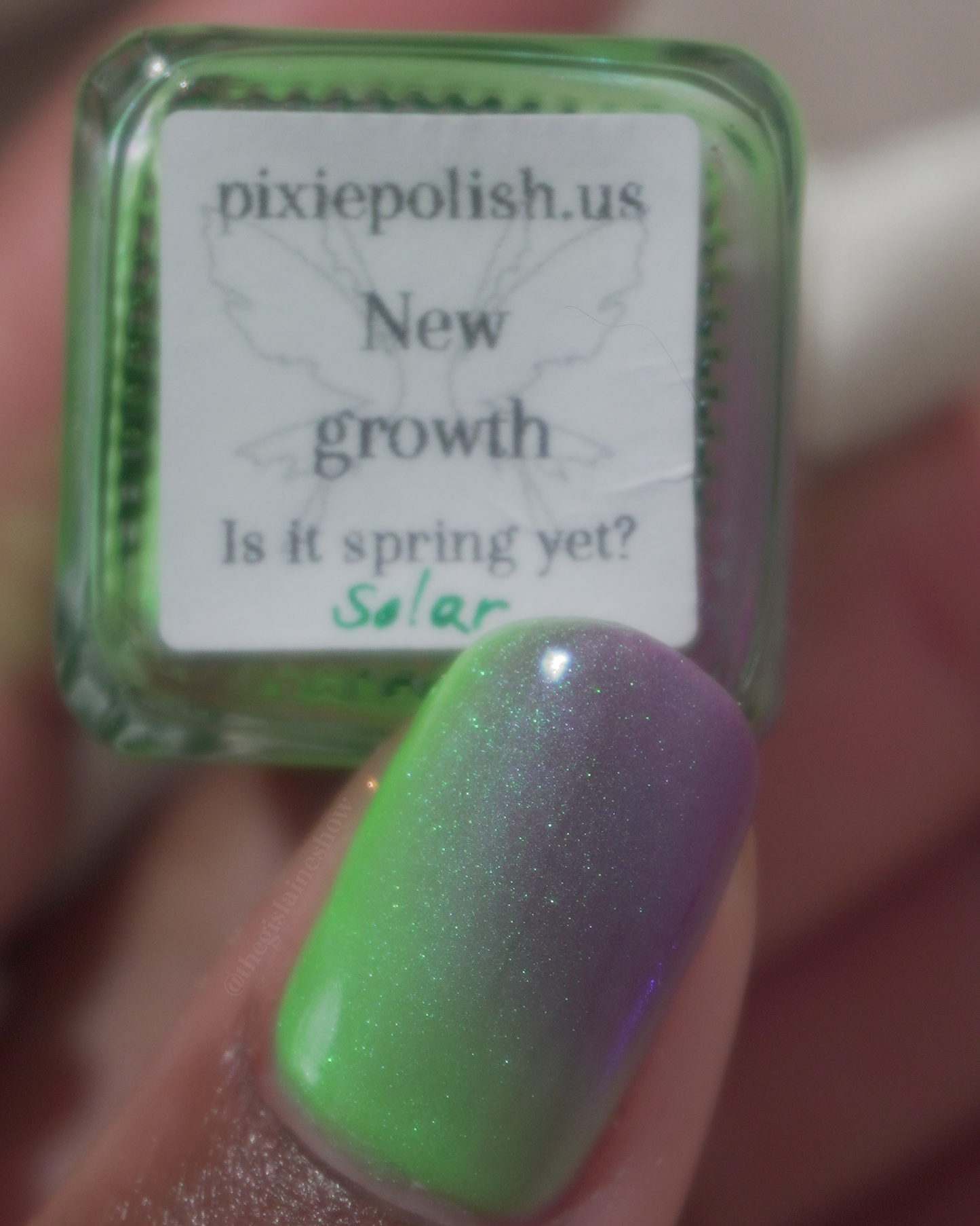 New Growth (Solar) (7 ml)