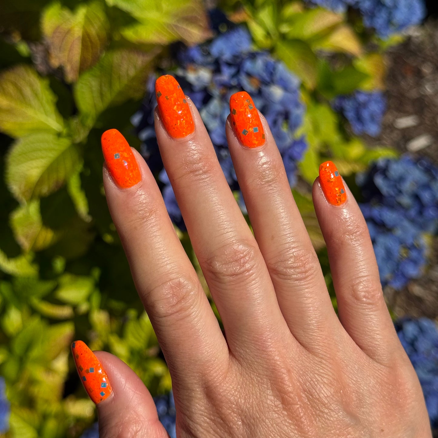 Cheeto Dorito (preorder)