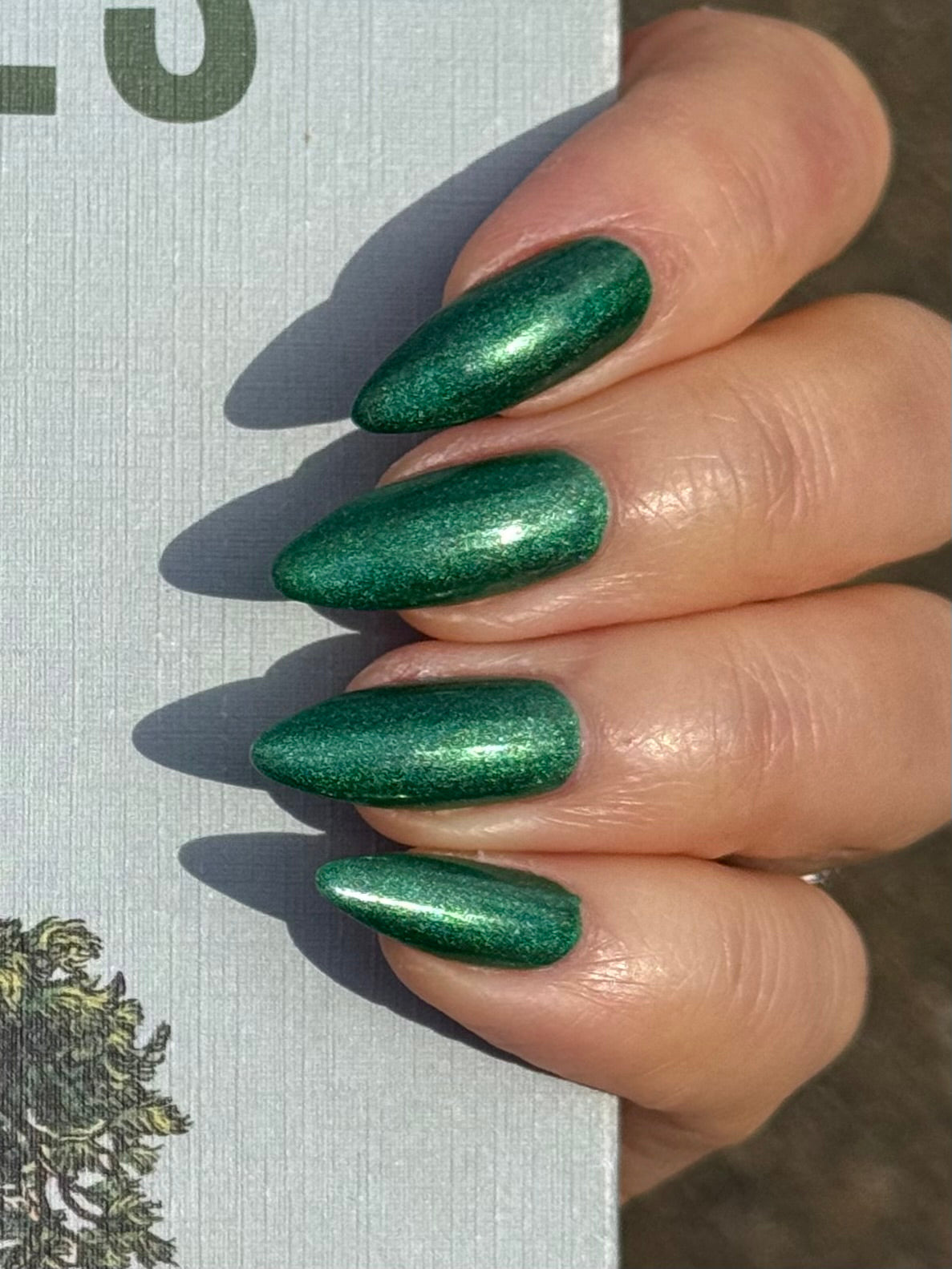 Evergreen State of Mind (7 ml)