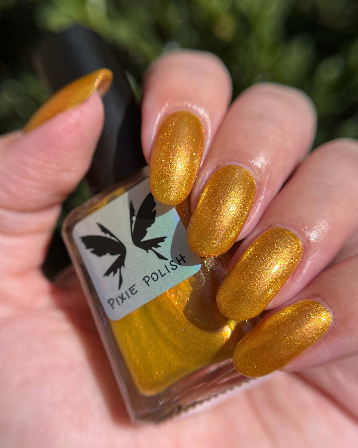 Sipping Cider (7 ml)