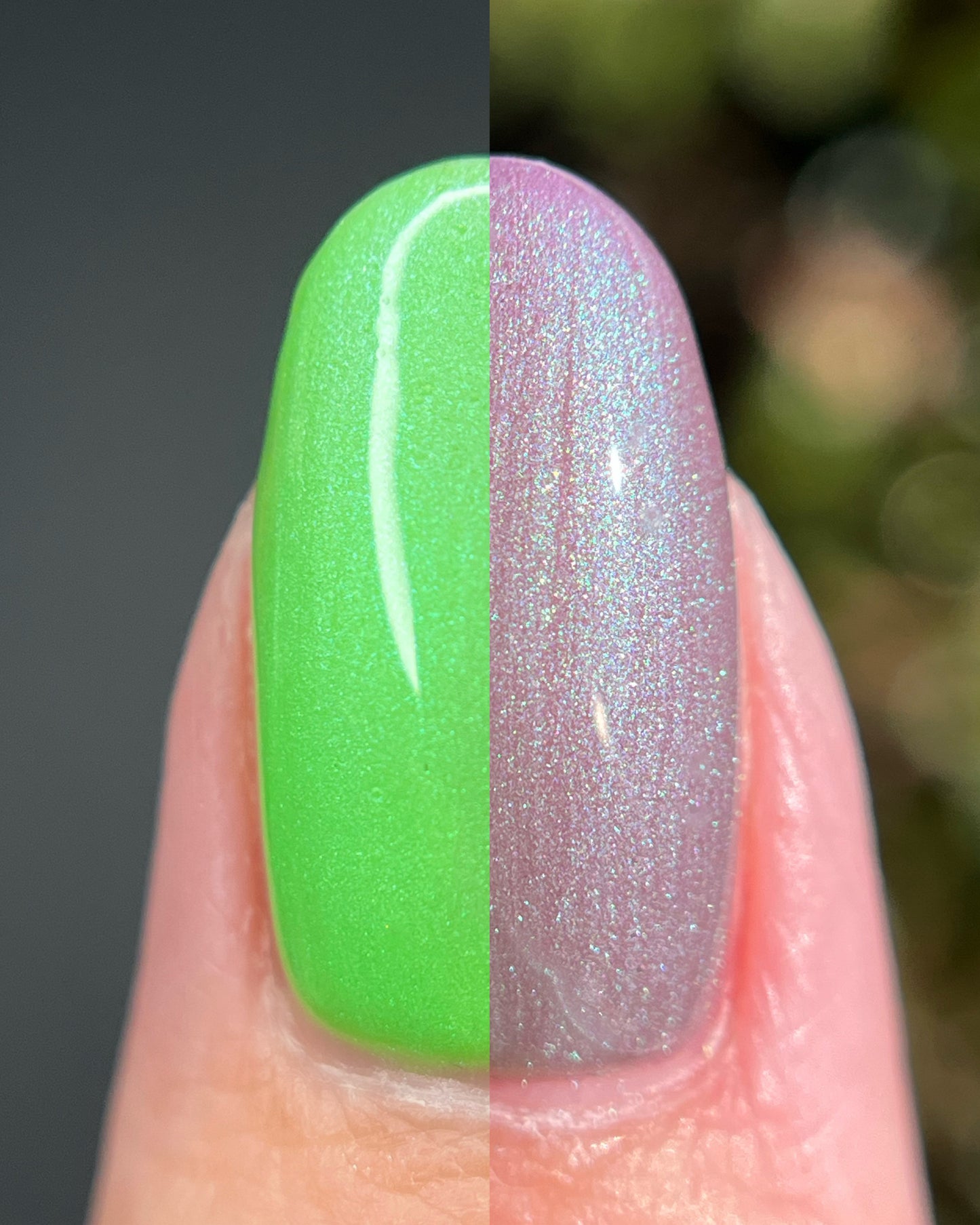 New Growth (Solar) (7 ml)