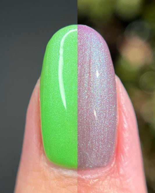 New Growth (Solar) (7 ml)