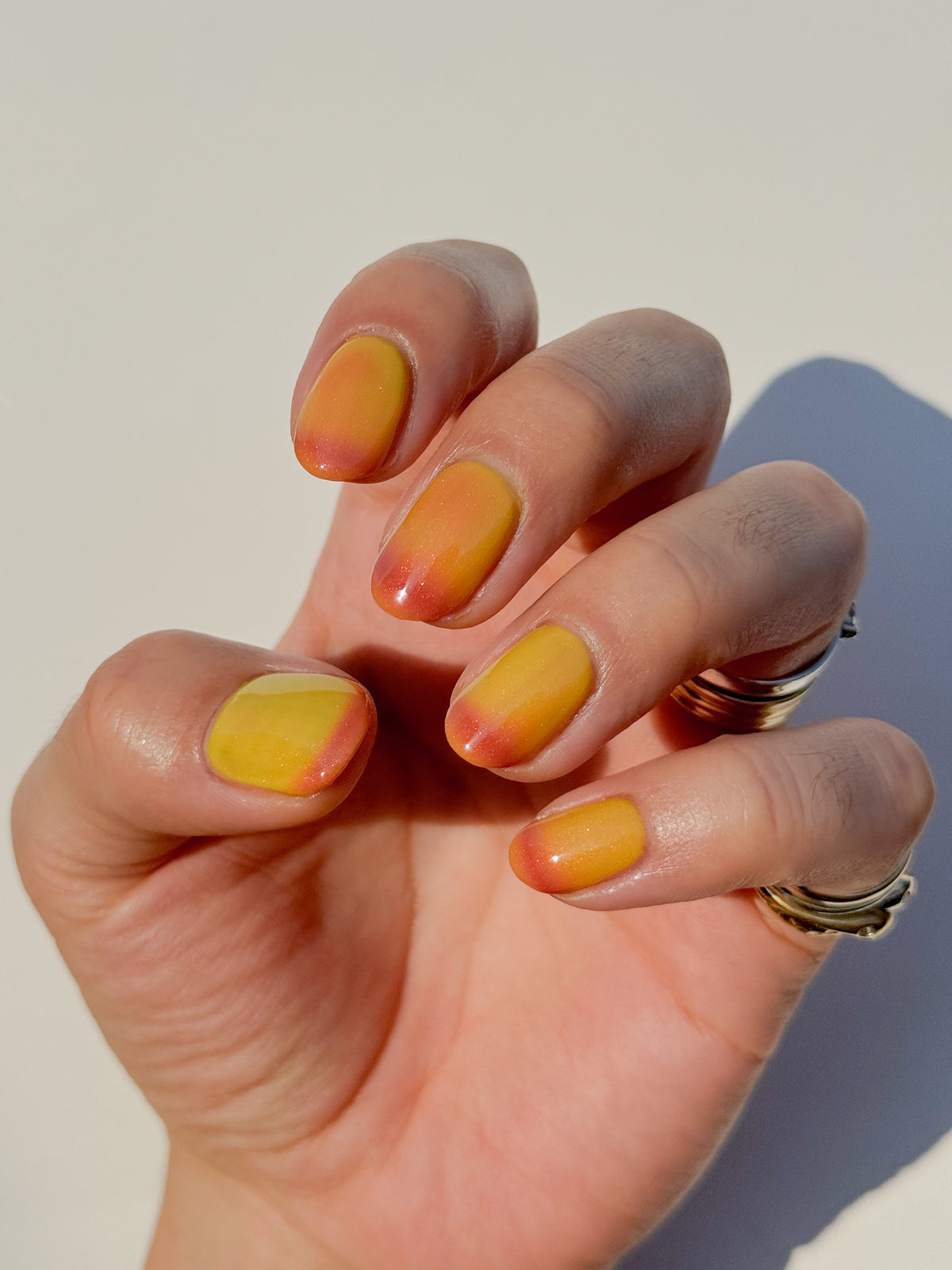Wilted Rose (7 ml)