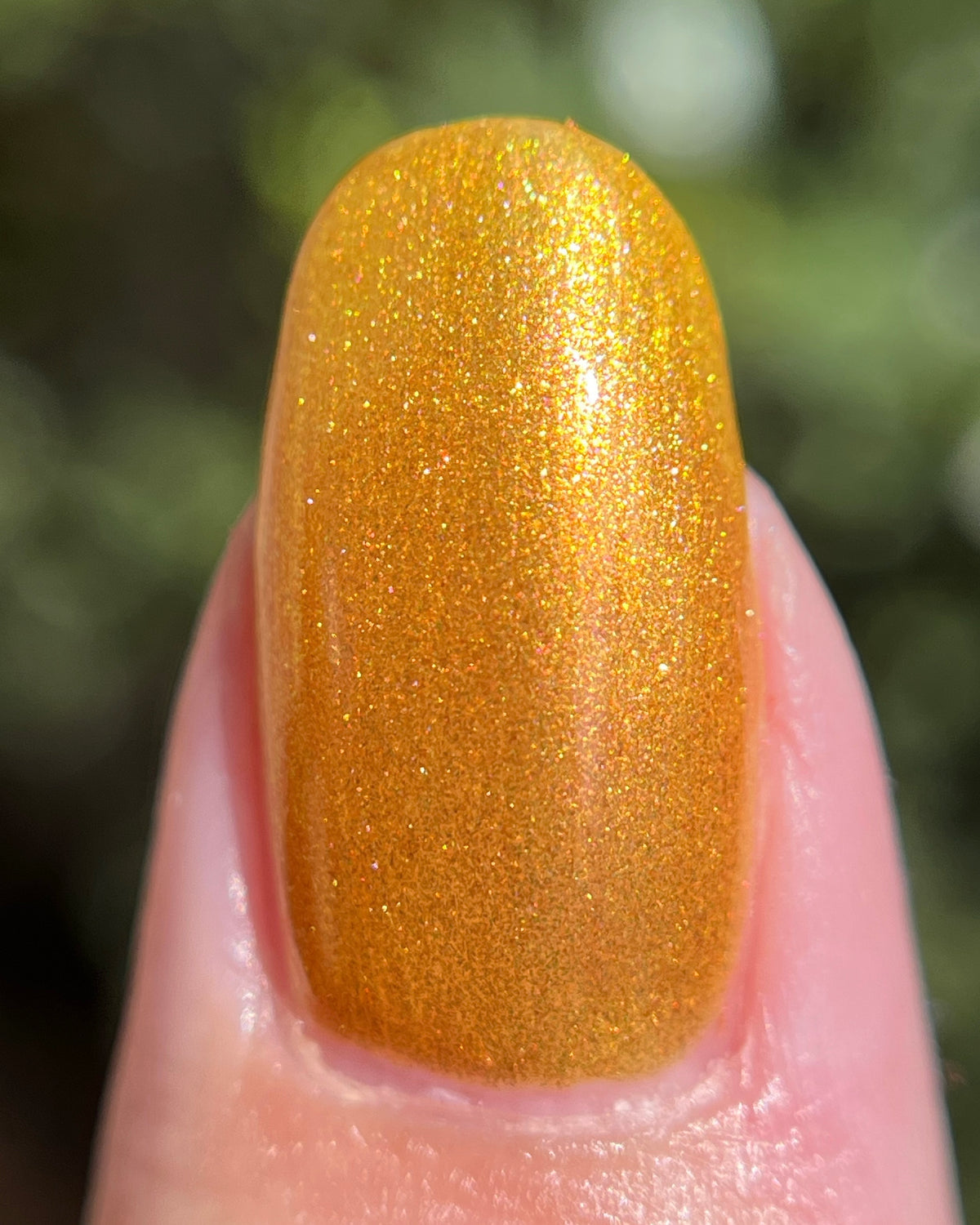 Sipping Cider (7 ml)
