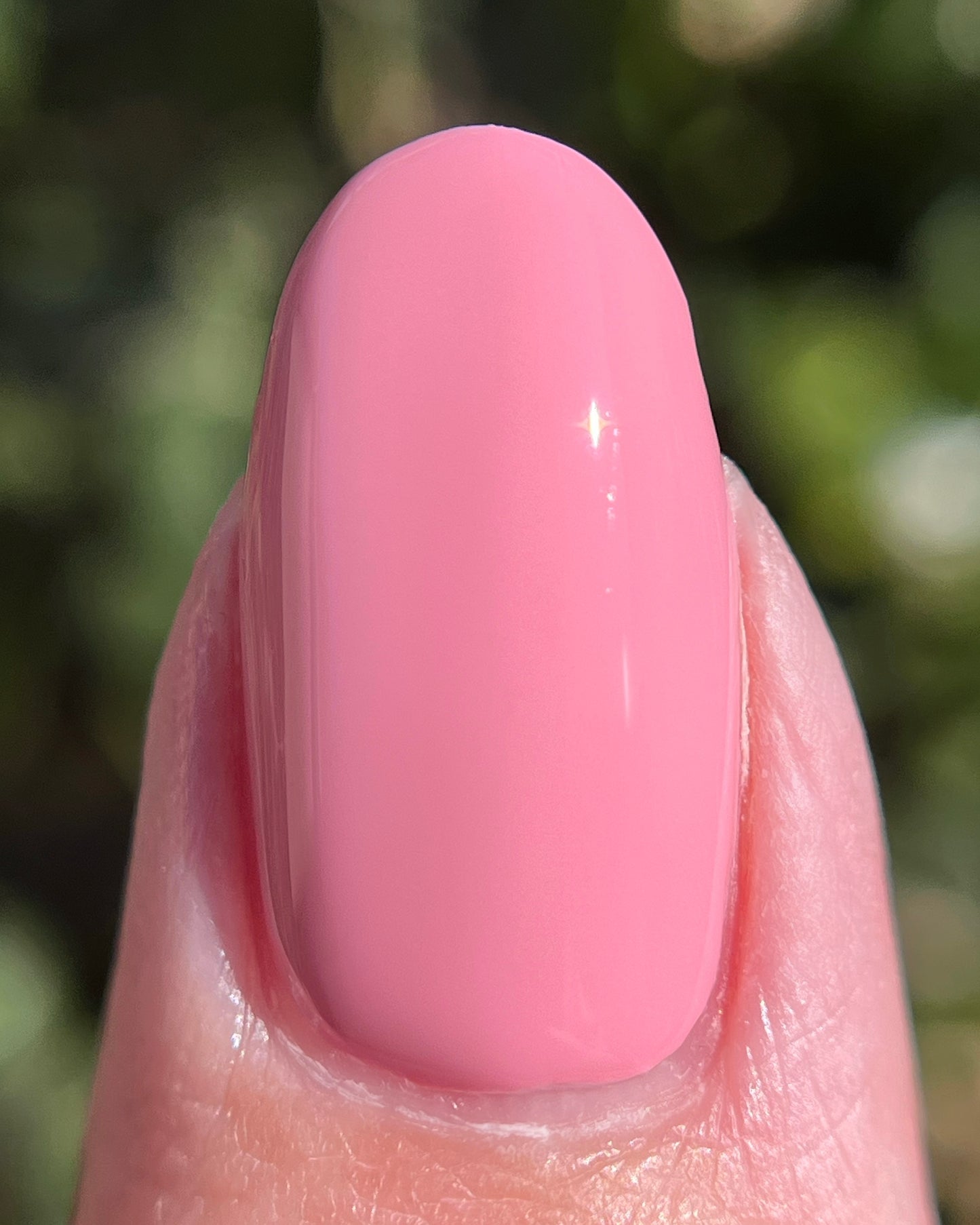 Love (February NOTM) (14 ml)
