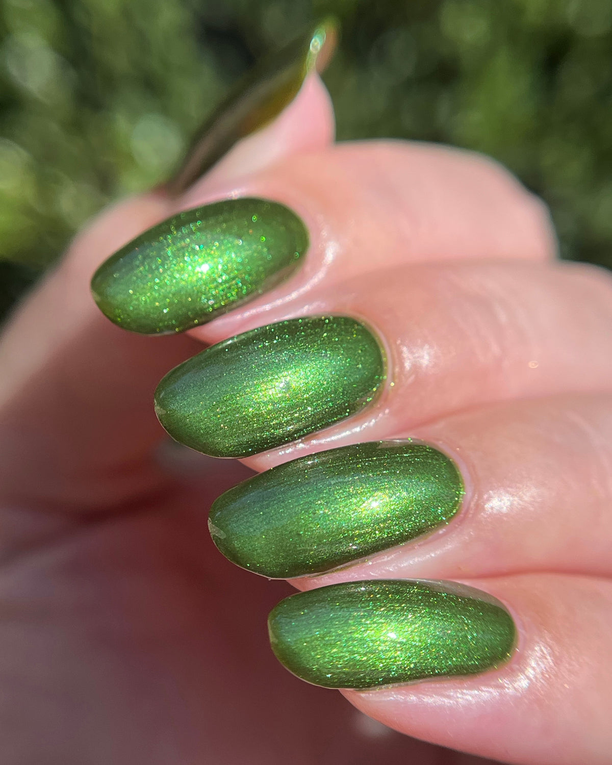 Island Time (7 ml)