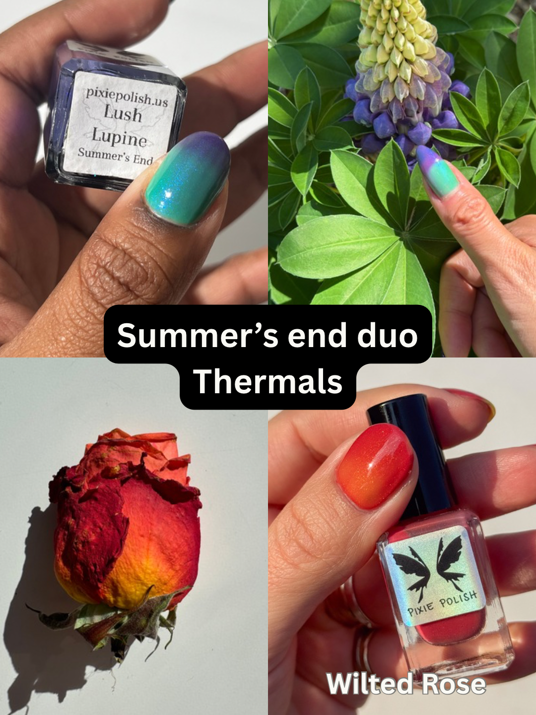 Summer’s End Duo