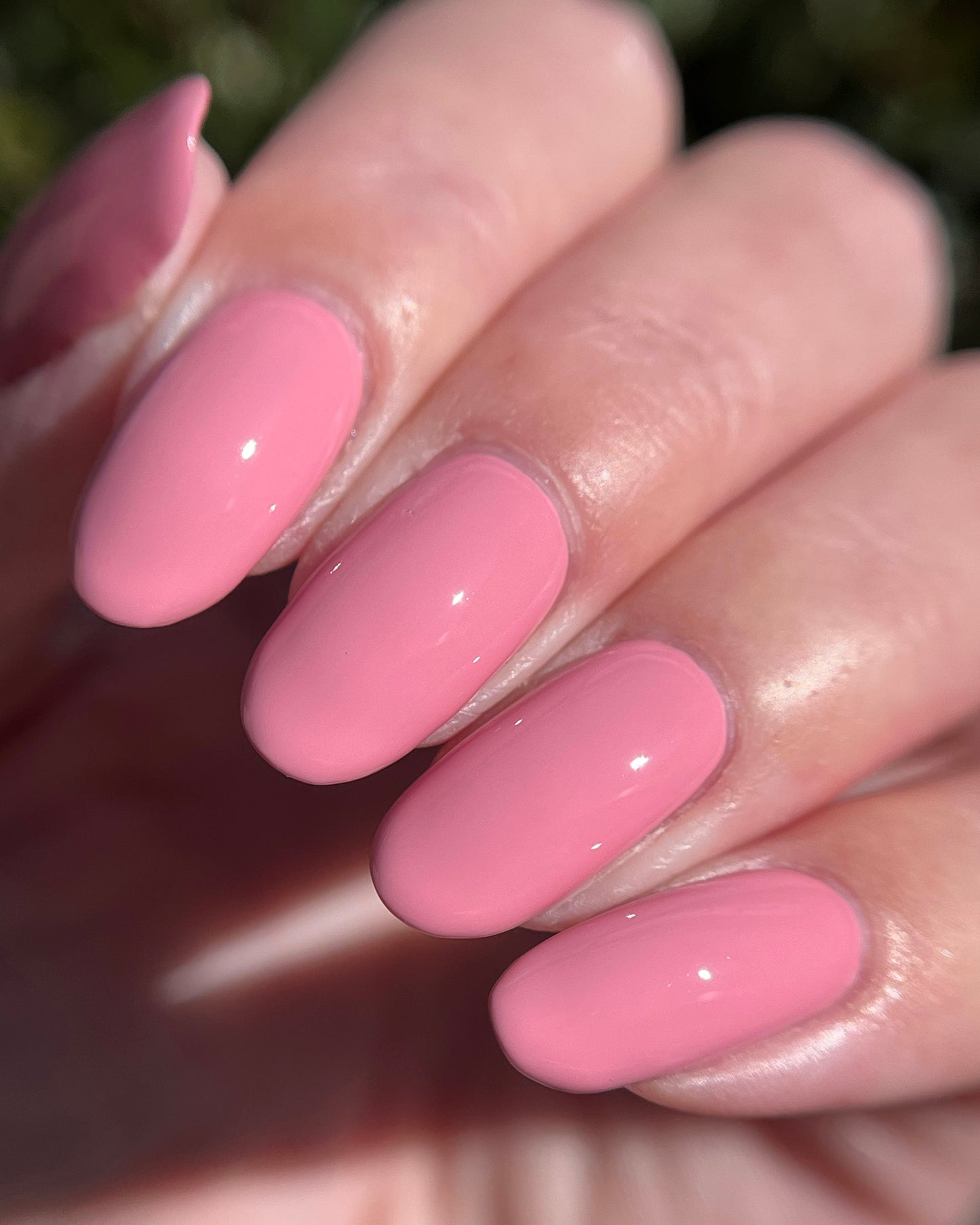 Love (February NOTM) (14 ml)