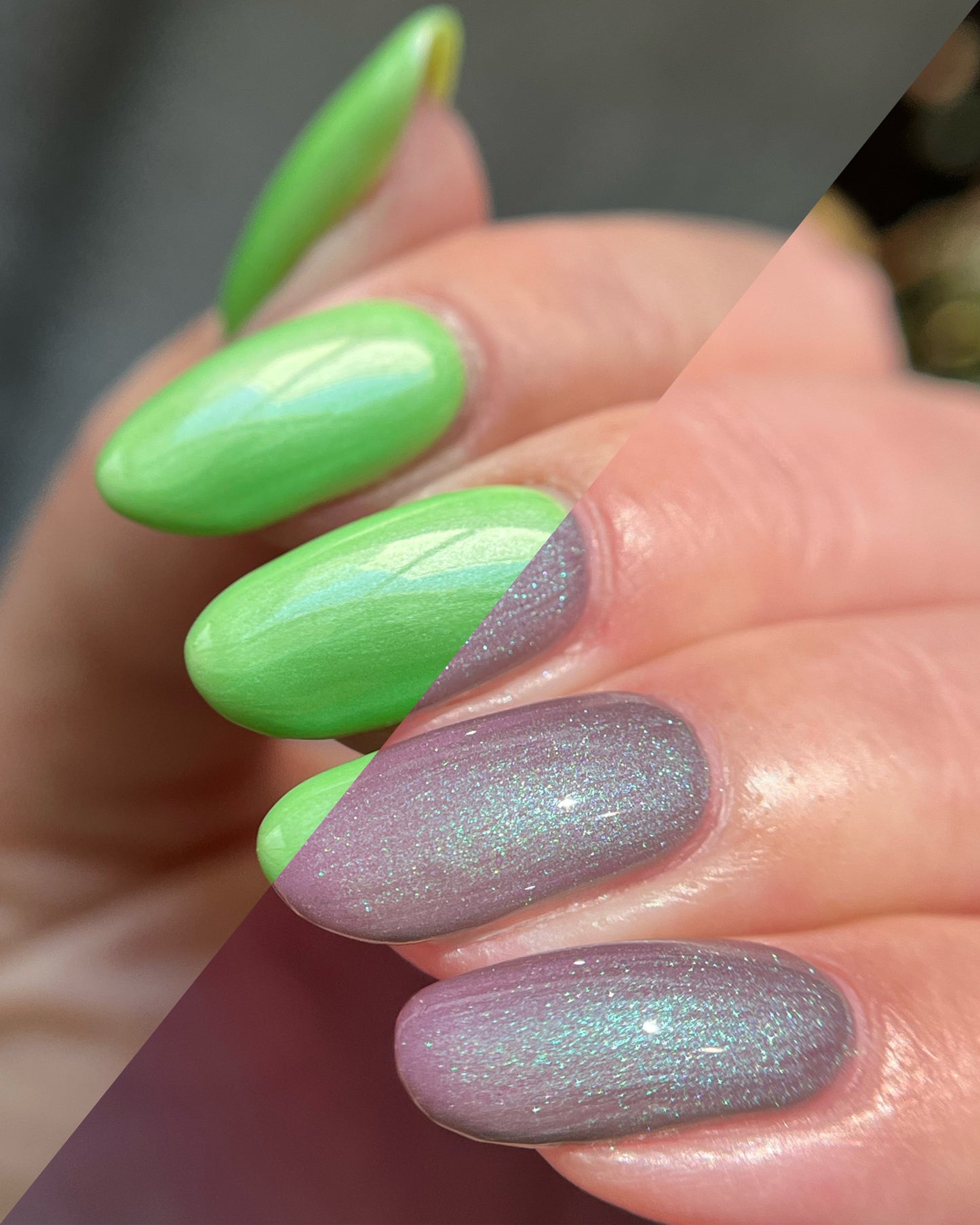 New Growth (Solar) (7 ml)