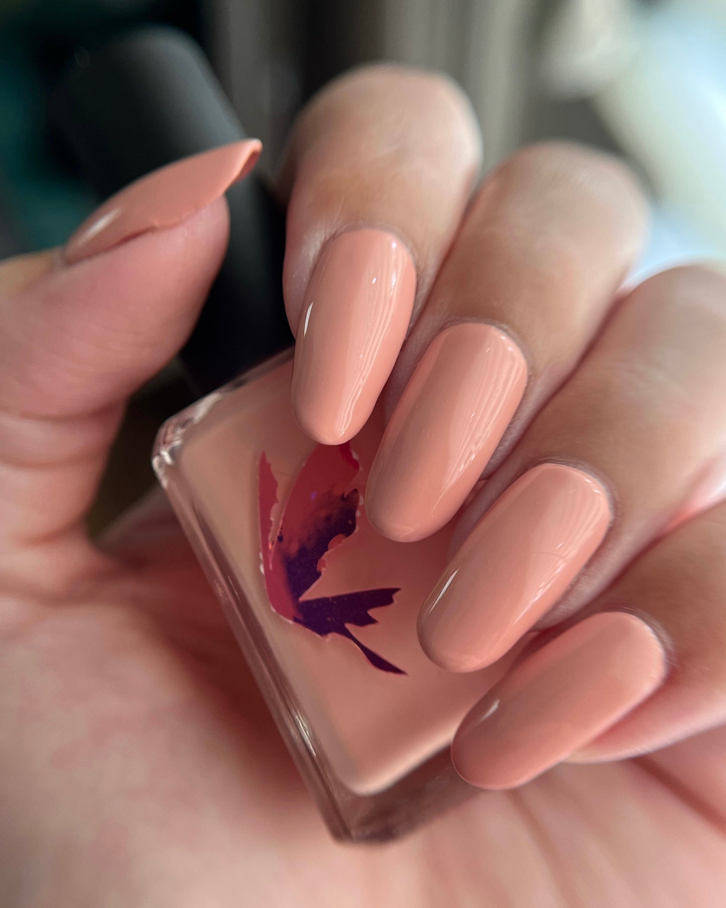 Adventure (June NOTM) (7 ml)
