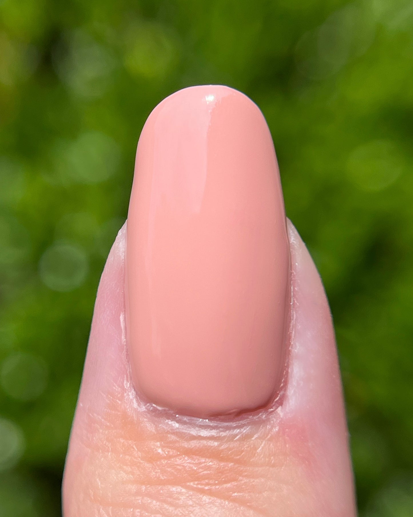 Adventure (June NOTM) (7 ml)
