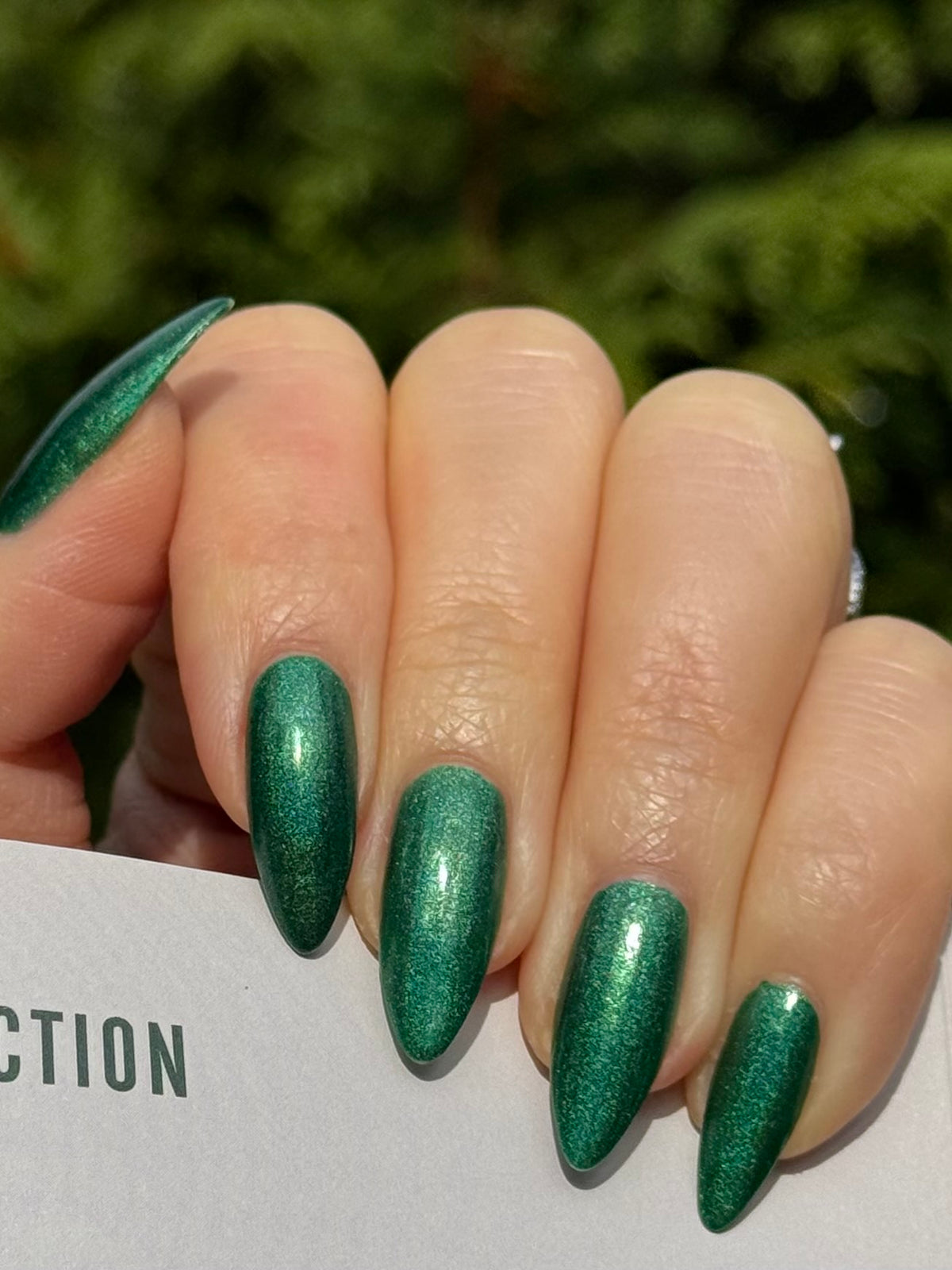 Evergreen State of Mind (7 ml)