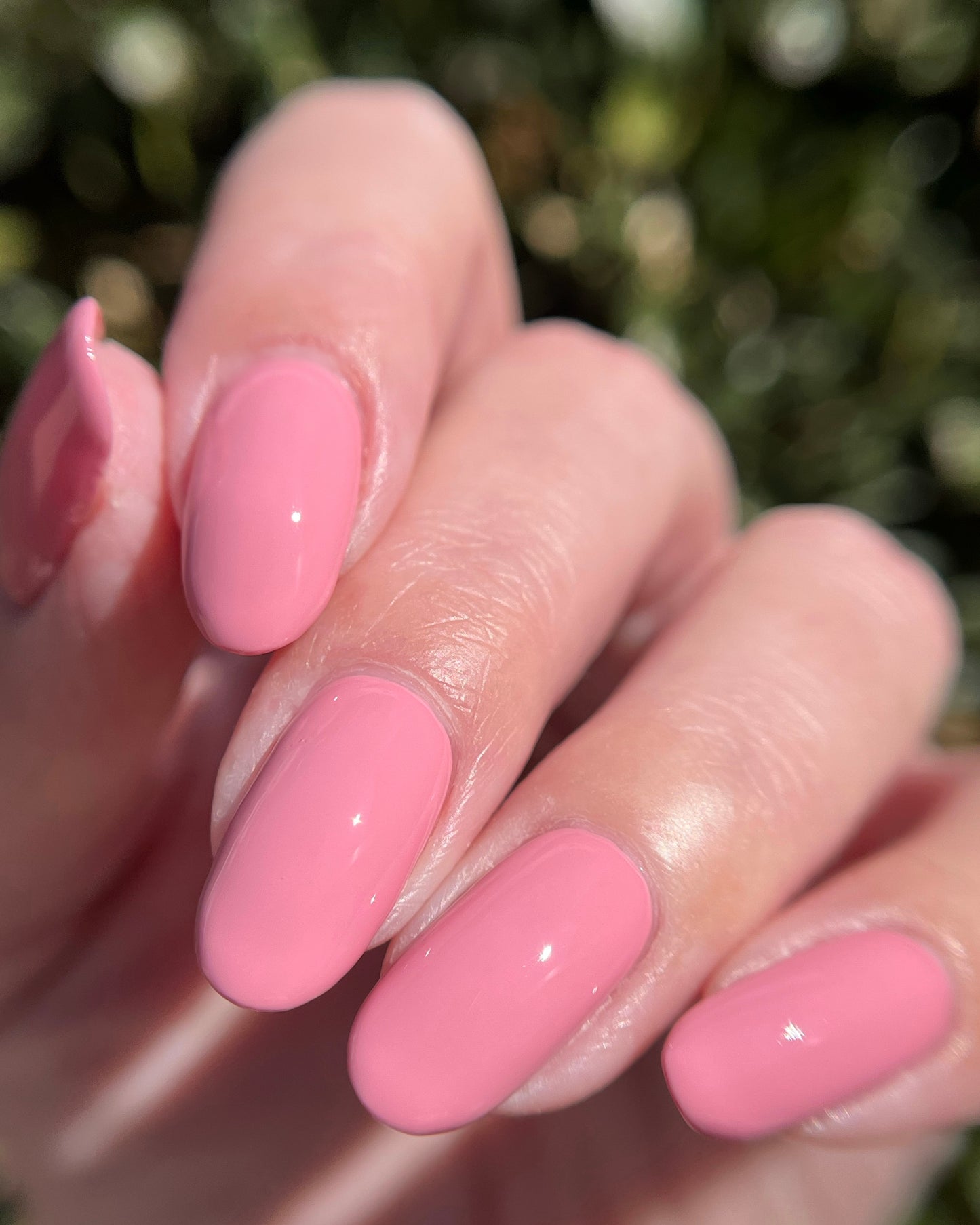 Love (February NOTM) (14 ml)