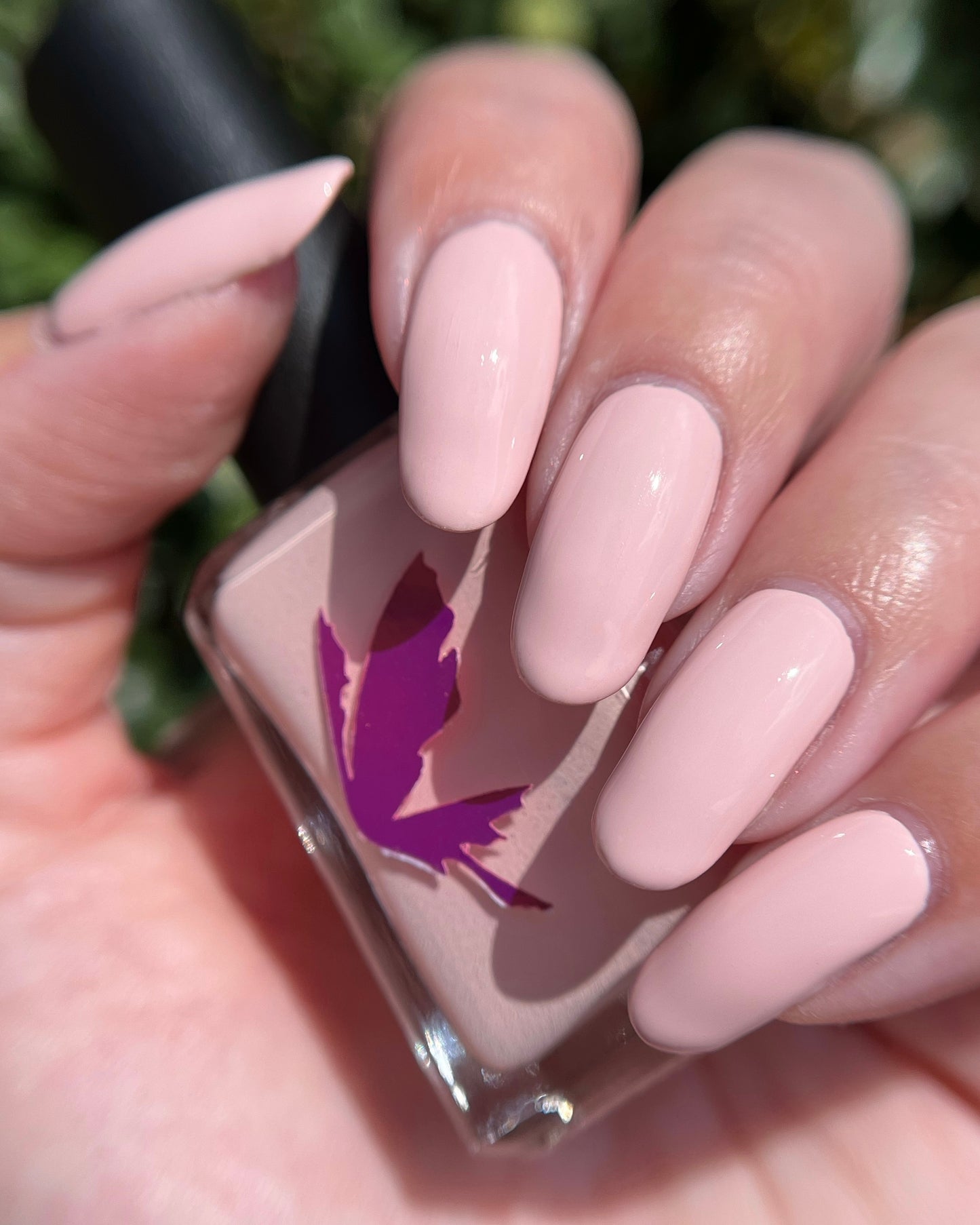 Creativity (April NOTM) (7 ml)