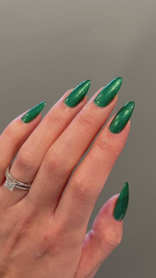 Evergreen State of Mind (14 ml)