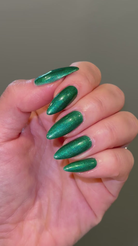 Evergreen State of Mind (14 ml)